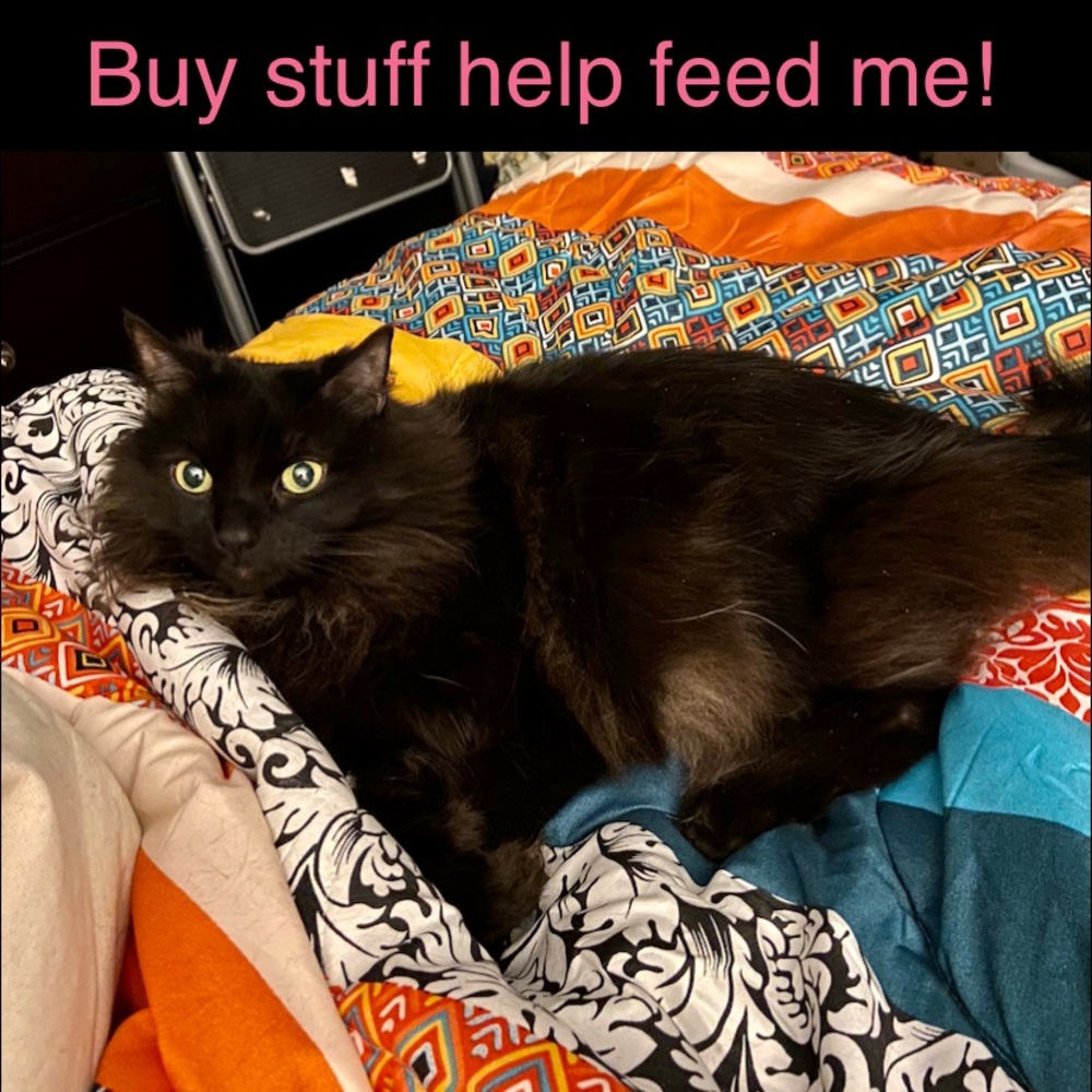 Meet your Posher, Stacy